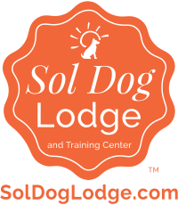 Sol Dog Transparent